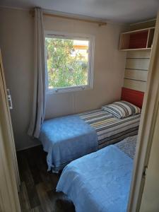two beds in a small room with a window at Logement dans terrain privé et familiale in Bonifacio