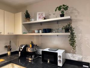 a kitchen with a microwave on a counter at Sunny Duplex, Mountain Views, Spa Access, Near Bansko, Terra Complex in Razlog