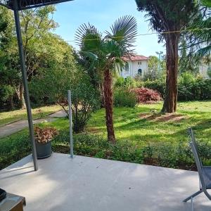 Κήπος έξω από το Apartman Andrić