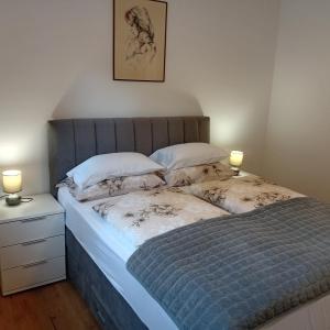 Ένα ή περισσότερα κρεβάτια σε δωμάτιο στο Apartman Andrić