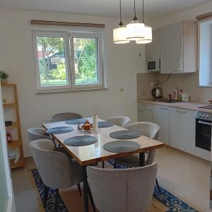 Η κουζίνα ή μικρή κουζίνα στο Apartman Andrić