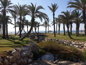 een brug over een beek met palmbomen en de oceaan bij Saturno 1 Sea Views Los Alamos in Torremolinos