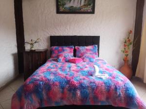 Billede fra billedgalleriet på The Frailejon House i Bogotá