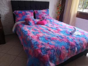 Billede fra billedgalleriet på The Frailejon House i Bogotá