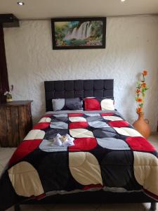 Billede fra billedgalleriet på The Frailejon House i Bogotá