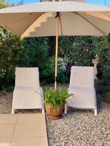 Κήπος έξω από το Maison de vacances en Vaison Ventoux +16 φωτογραφίες