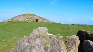 a large rock in front of a grassy hill at Crossdrum Courtyard Accommodation in Oldcastle