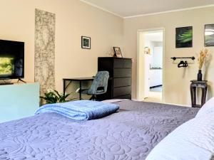 a bedroom with a bed with a desk and a television at Sonnenterrasse & 2 King-Size DZ - Citynah & ruhig in Berlin