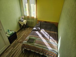 a bedroom with a bed in a room with green walls at 1 chambre jaune dans une maison privé in Vernayaz