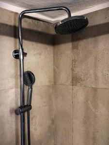 a shower with a shower head in a bathroom at Pinetree House in Nafplio +12 photos