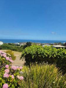 a view of the ocean from a garden with flowers at To C Garden Cottage in Mossel Bay