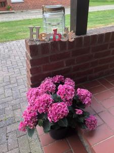 a bouquet of pink flowers sitting next to a brick wall at Ferienwohnung Kalle in Osterbruch