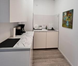 a kitchen with white cabinets and a marble counter top at Wohnung am Rosengarten in Kehl am Rhein
