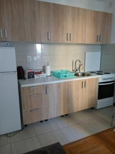 Η κουζίνα ή μικρή κουζίνα στο Sarajevo Holiday Apartment 4 +4 φωτογραφίες