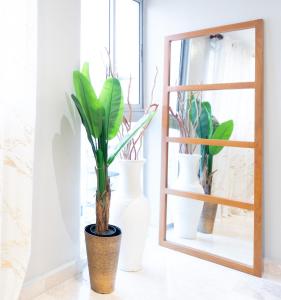 a mirror and three vases with plants on a shelf at Elegant, 2-Bedroom Retreat in Naco Central in Santo Domingo