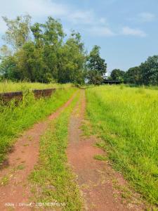 een onverharde weg in het midden van een veld bij Sukhad Home Stay in Gimvi
