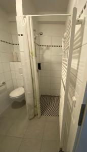 a white bathroom with a toilet and a shower at Landgut Ziegler in Friesack +8 photos