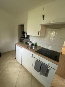 a kitchen with a sink and a counter top at Landgut Ziegler in Friesack +8 photos
