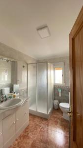 a bathroom with a sink and a toilet at La Pollera in Cehegín