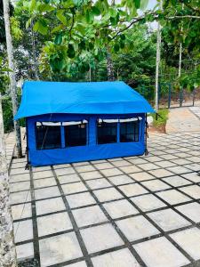 a blue tent sitting on top of a patio at Rain view wayanad in Wayanad