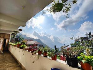 a balcony with lots of potted plants on it at Chasumi Homestay in Darjeeling
