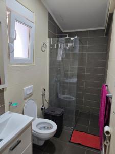 a bathroom with a shower and a toilet and a sink at Azar in Bar