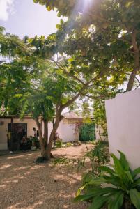 Fotografie z fotogalerie ubytování Pajevista v destinaci Paje