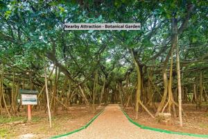 a large tree in the middle of a dirt road at Hotel O Qualia Inn Kondapur Near Botanical Garden in Hyderabad