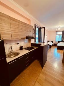 a kitchen with a sink and a counter top at Anano Apartment on Botanikuri in Tbilisi City