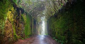 テヒーナにあるCasa Unifamiliarの山の中の未舗装道路のトンネル +10枚の写真