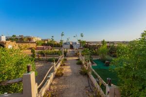 a garden with a fence and some plants at Gagal House in Siwa
