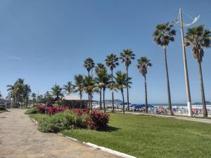 a park with palm trees and the beach at Edifício Monte Carmel in Guarujá