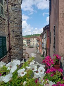 a bunch of flowers on the side of a street at La Cà di Euro in Pignone