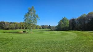 Golf v apartmánu nebo okolí