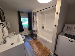 a bathroom with a sink and a toilet and a shower at Big Barn Lodge - Farm House in Pulaski +5 photos