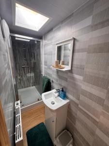 a bathroom with a sink and a shower at Julara in Deganwy