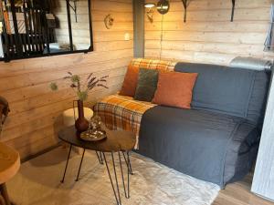 a living room with a couch and a table at TiNY HOUSE LE CHALET LIT KING SIZE -TERRASSE - PETIT DÉJEUNER-CLIMATISATION -PARKING in Échenoz-la-Méline