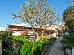 a tree in a garden next to a building at Breezot Yam in Nahariyya