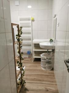 a white bathroom with a sink and a mirror at Apartma Lipa in Veliki Gaber
