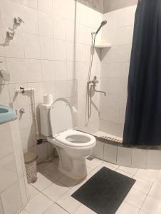 a bathroom with a shower with a toilet and a sink at Gamsakhurdia Street in Borjomi +30 photos