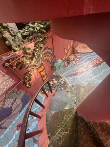 an overhead view of a glass floor with a plant at Casa Jujube - Guest House in Dakar