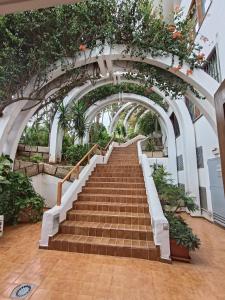 un conjunto de escaleras en un edificio con plantas en Parque Royal 1 Apartamento Costa Adeje, en Adeje