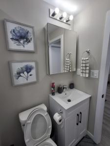 a bathroom with a toilet and a sink and a mirror at Oxnard Villa in Winnipeg