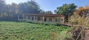 a house in the middle of a field at Inti Wasi habitaciones in San Pedro de Atacama