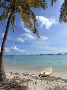 a yellow kayak sitting on a beach next to a palm tree at Fleur de Paradis in Saint-François