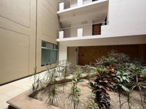 un edificio con muchas plantas en un patio en Escazu Guachipelin Peaceful Getaway, Pool, Wi-Fi & Work Space CR MARIPOSA RENTALS, en San Rafael