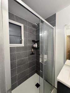 eine Dusche mit einer Glastür in einem Badezimmer in der Unterkunft Appartement neuf T3 avec jardin au bord du lac in Génos