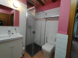 a bathroom with a shower and a toilet and a sink at Casa de los deseos in Villambístia +19 photos