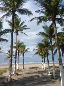 a row of palm trees on a beach at Hostel Oásis in Itanhaém