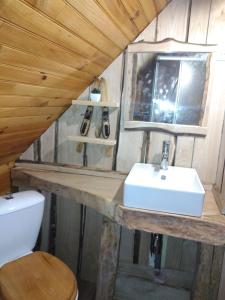 a bathroom with a sink and a toilet at Chalet typique des Pyrénées in Boutx +47 photos